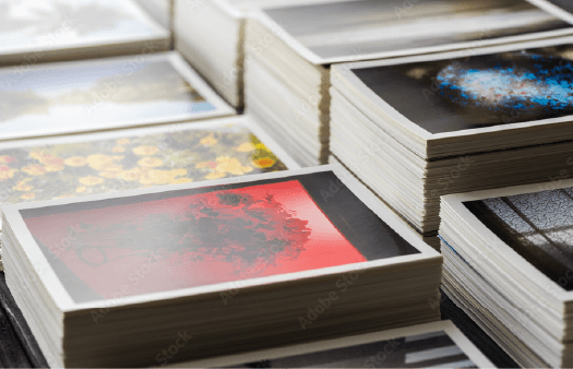 ダイレクトメールオプション